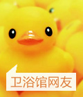 卫浴_卫浴洁具_用品价格_产品库馆_太平洋家居网(图1)